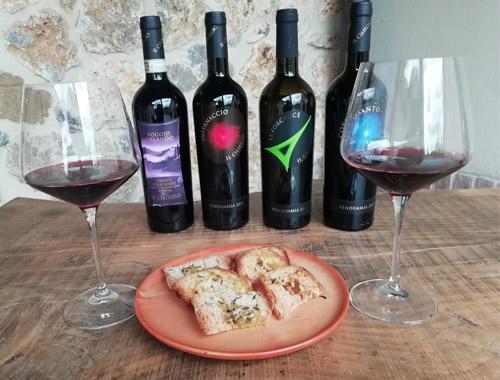 Degustazione in fattoria “il Ciliegio”